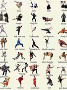 Image result for Indian Fighting Styles