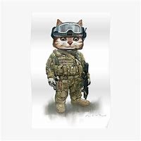 Image result for Spec Ops Cat