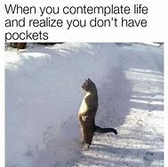 Image result for Contemplating Life Meme