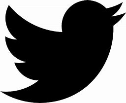 Image result for Twitter Logo Transparent