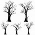 Image result for Cartoon Tree No Leaves