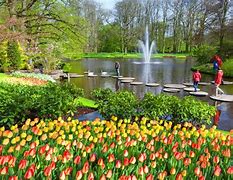 Image result for Netherlands Spring Garden Tour