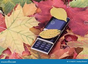 Image result for Fall 4 Phone