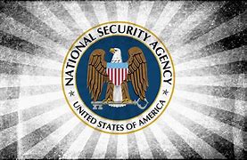 Image result for NSA South Africa Logo