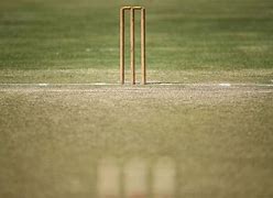Image result for Cricket Wicket Turf Cartoon Images