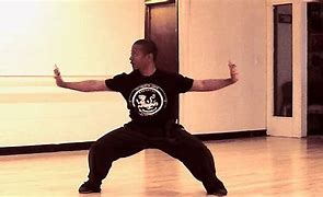 Image result for Black Tiger Kung Fu Forms