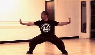 Image result for Tiger Kung Fu Techniques