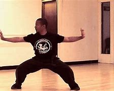 Image result for Tiger Style Martial Arts