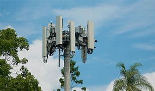 Image result for Wi-Fi Tree Towers