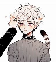 Image result for Catboy with a Collar