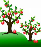 Image result for Macintosh Apple Trees