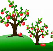 Image result for Star Apple Tree Clip Art