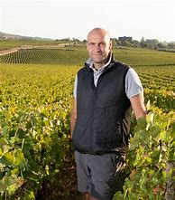 Image result for Pierre Yves Colin Morey Volnay Champans
