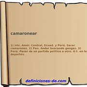 Image result for camaronear