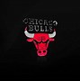 Image result for Chicago Bulls Logo