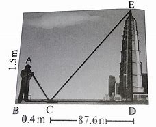Image result for How Tall Is 82 Metres