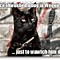 Image result for Awesome Cat Meme