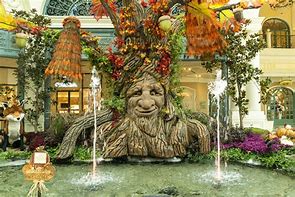Image result for Fall in Las Vegas