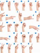 Image result for Within Sign Language