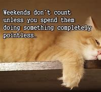 Image result for Week End Humour
