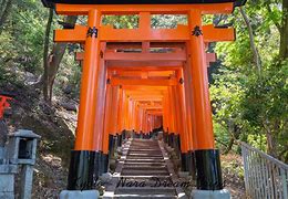 Image result for How to Take Pictures in Fushimi Inari Shrine