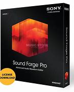 Image result for Sony Sound Forge Pro V1.0