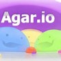 Image result for agragio