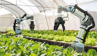 Image result for Smart Farming