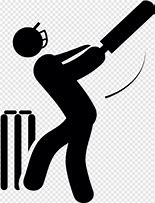 Image result for SS Cricket Bat