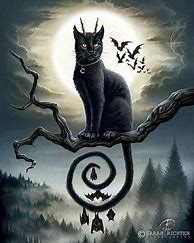 Image result for Goth Cat Wallpaper