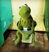 Image result for Kermit the Frog Waiting