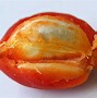 Image result for Peanut Butter Fruit