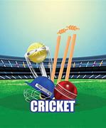 Image result for Cricket Themed Background