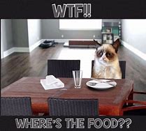Image result for Grumpy Cat Hungry Meme