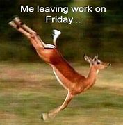 Image result for Leave Work Friday Meme