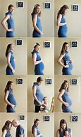 Image result for Pregnant Progress Bar