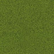 Image result for Small Grass Texture