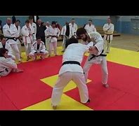 Image result for Judo Martial Arts