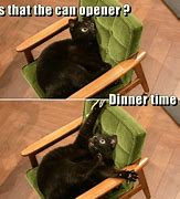 Image result for Cat Eating Dinner Meme