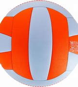 Image result for Orange Volleyball