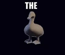 Image result for Giant Rubber Duck Meme