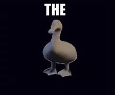 Image result for Find the Hidden Duck Meme