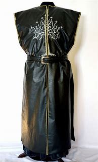 Image result for Surcoat with Silver Buttons