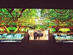 Image result for New 43 Inch LG OLED