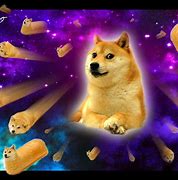 Image result for Doge Meme Home Screen Wallpaper