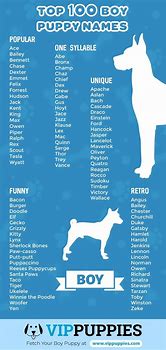 Image result for Great Boy Dog Names
