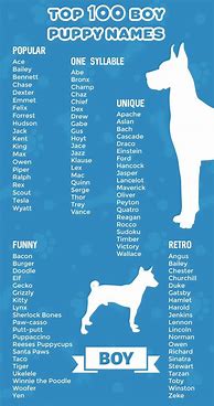 Image result for Adorable Boy Dog Names