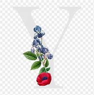 Image result for Alphabet Y with Flower