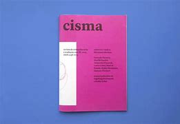 Image result for cisma