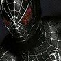 Image result for Black Spider-Man Pic